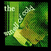 smellofcold