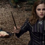 Harry Potter and the Deathly Hallows Part 1 Harry Potter and the Deathly Hallows Part 1