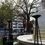 IMG_0194 IMG_0194