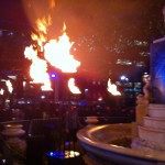 IMG_0213 IMG_0213