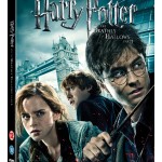 Deathly Hallows: Part 1 DVD Deathly Hallows: Part 1 DVD
