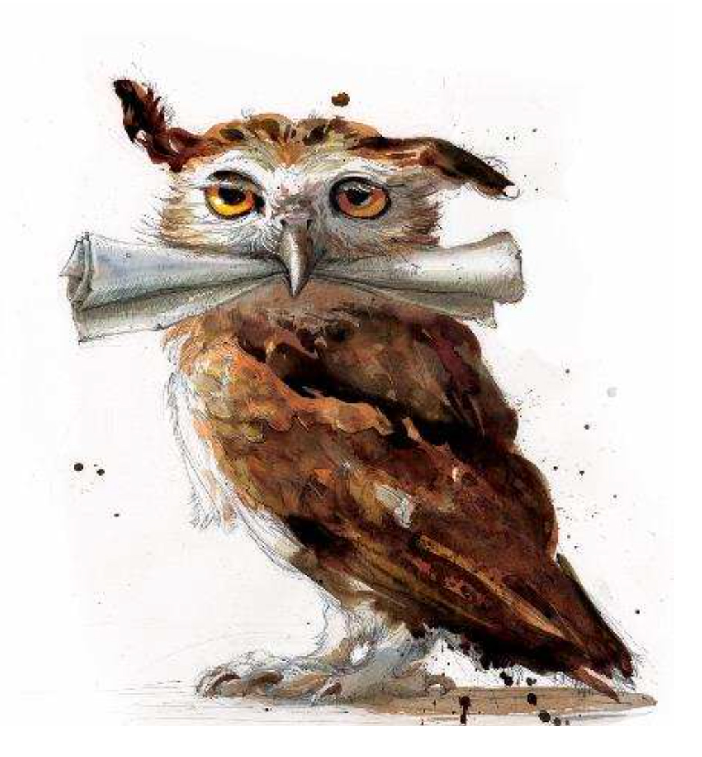 Bildresultat för harry potter owl